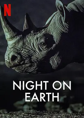 地球的夜晚.Night.On.Earth.S01.1080p.NF.WEB-DL.DDP5.1.x264.webp.png