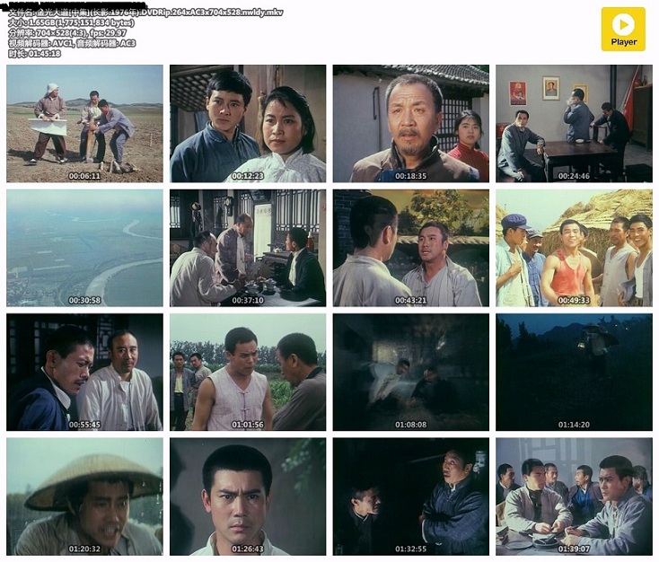 金光大道[中集](长影.1976年).DVDRip.264xAC3x704x528.nwldy.mkv.jpg