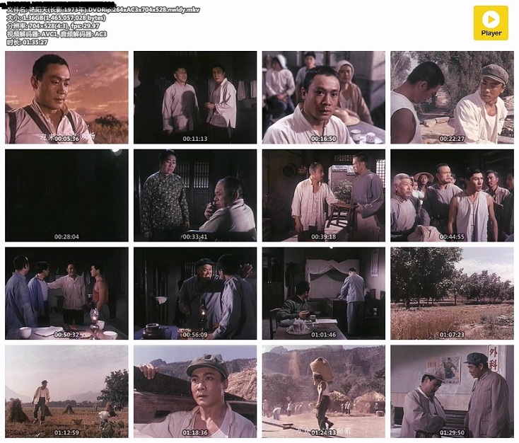 艳阳天(长影.1973年).DVDRip.264xAC3x704x528.nwldy.mkv.jpg