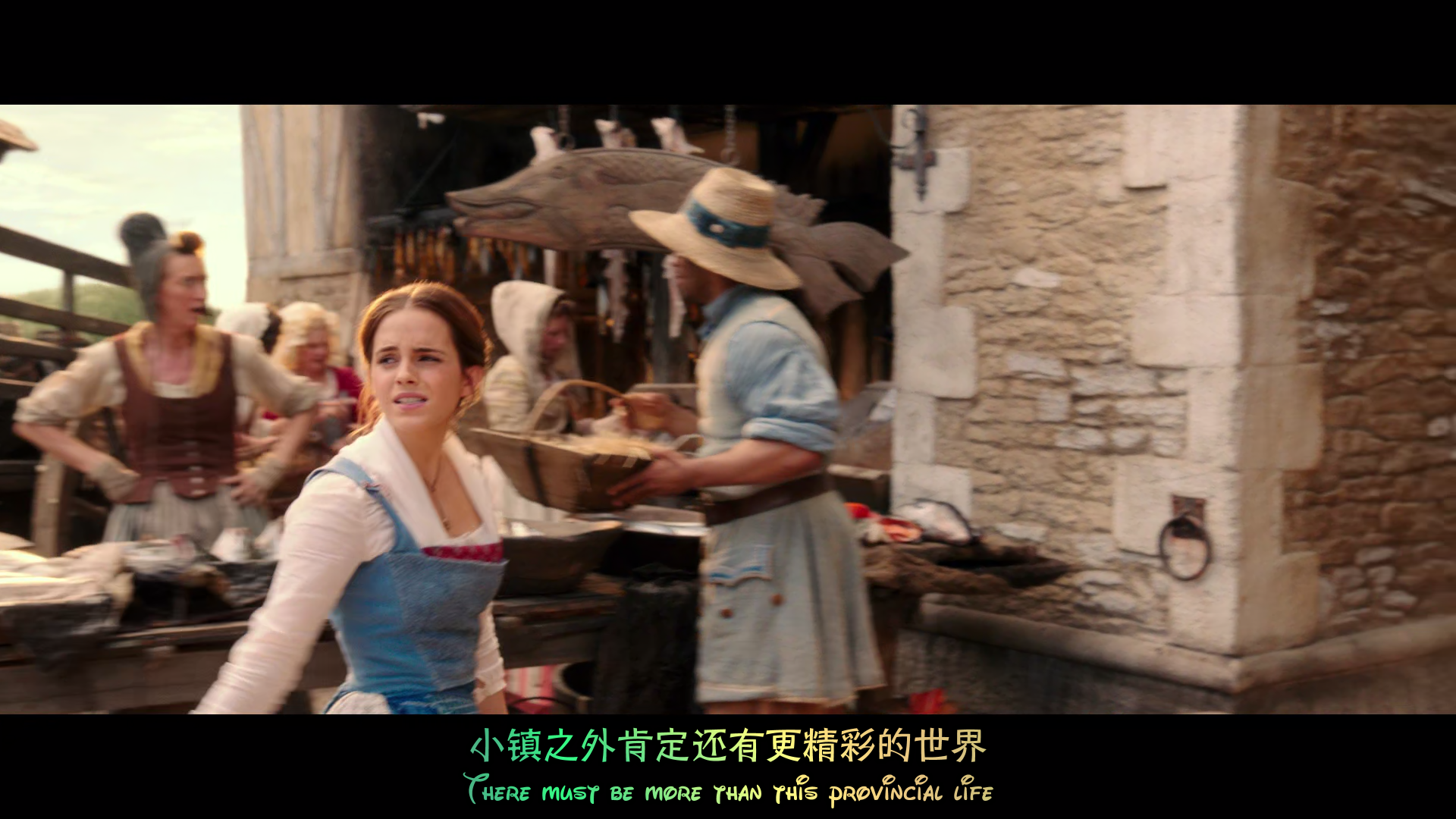 美女与野兽.Beauty.and.the.Beast.2017.BD1080P.x265.10bit.AAC.Mandarin&English.CHS.png