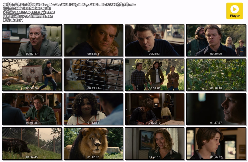 我家买了动物园.We.Bought.a.Zoo.2011.1080p.BluRay.x265.2audio-RARBG特效字幕.mkv.jpg