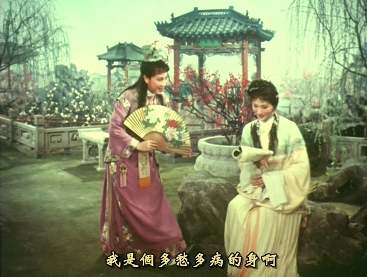 越剧《红楼梦》1962（海燕）.mp4_20241123_135941.437.jpg