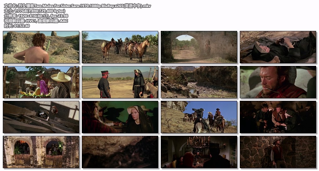 烈女镖客Two.Mules.For.Sister.Sara.1970.1080p.BluRay.x265(英语中字).mkv.jpg