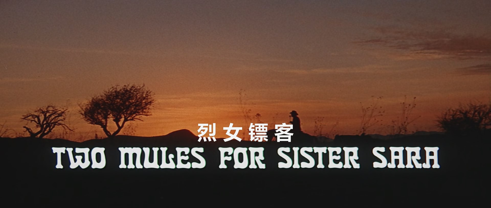 烈女镖客Two.Mules.For.Sister.Sara.1970.1080p.BluRay.x265(英语中字).mkv_snapshot_.jpg