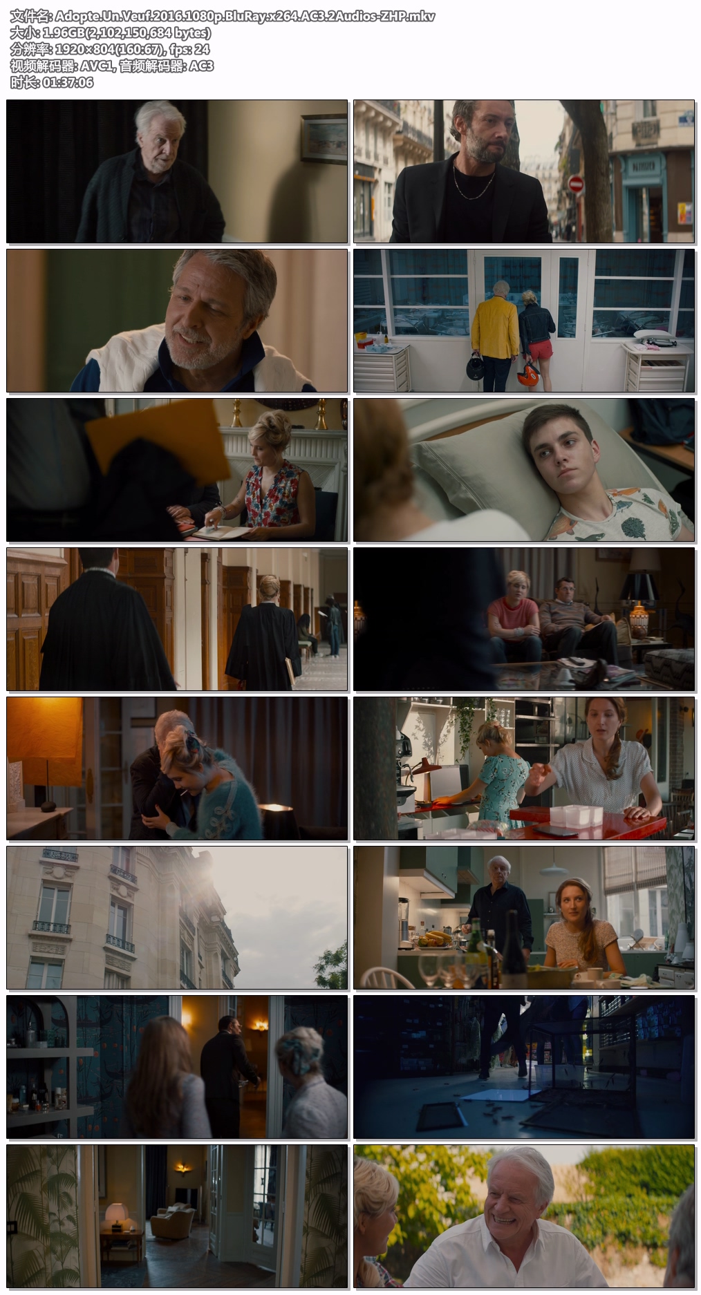 Adopte.Un.Veuf.2016.1080p.BluRay.x264.AC3.2Audios-ZHP.jpg