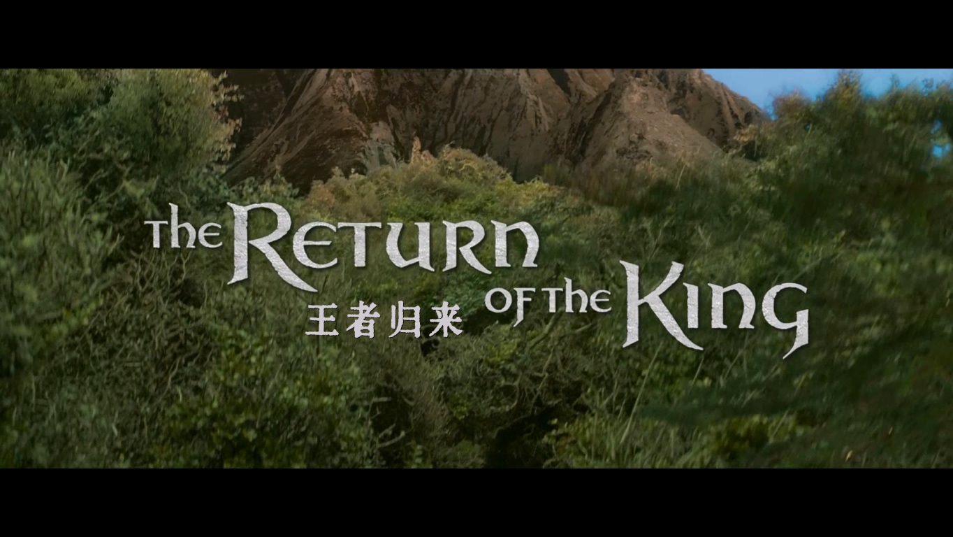 The.Lord.of.the.Rings.The.Return.of.the.King.2003.EXTENDED.REMASTERED.1080p.BluR.jpg