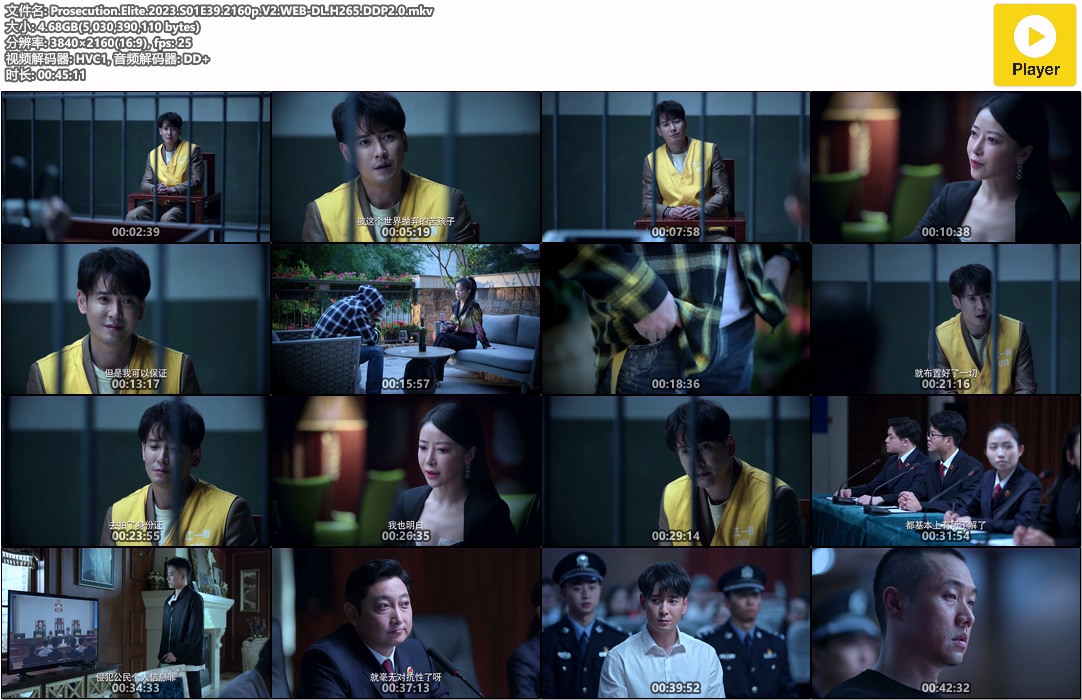 公诉.Prosecution.Elite.2023.S01E39.2160p.V2.WEB-DL.H265.DDP2.0.mkv.jpg