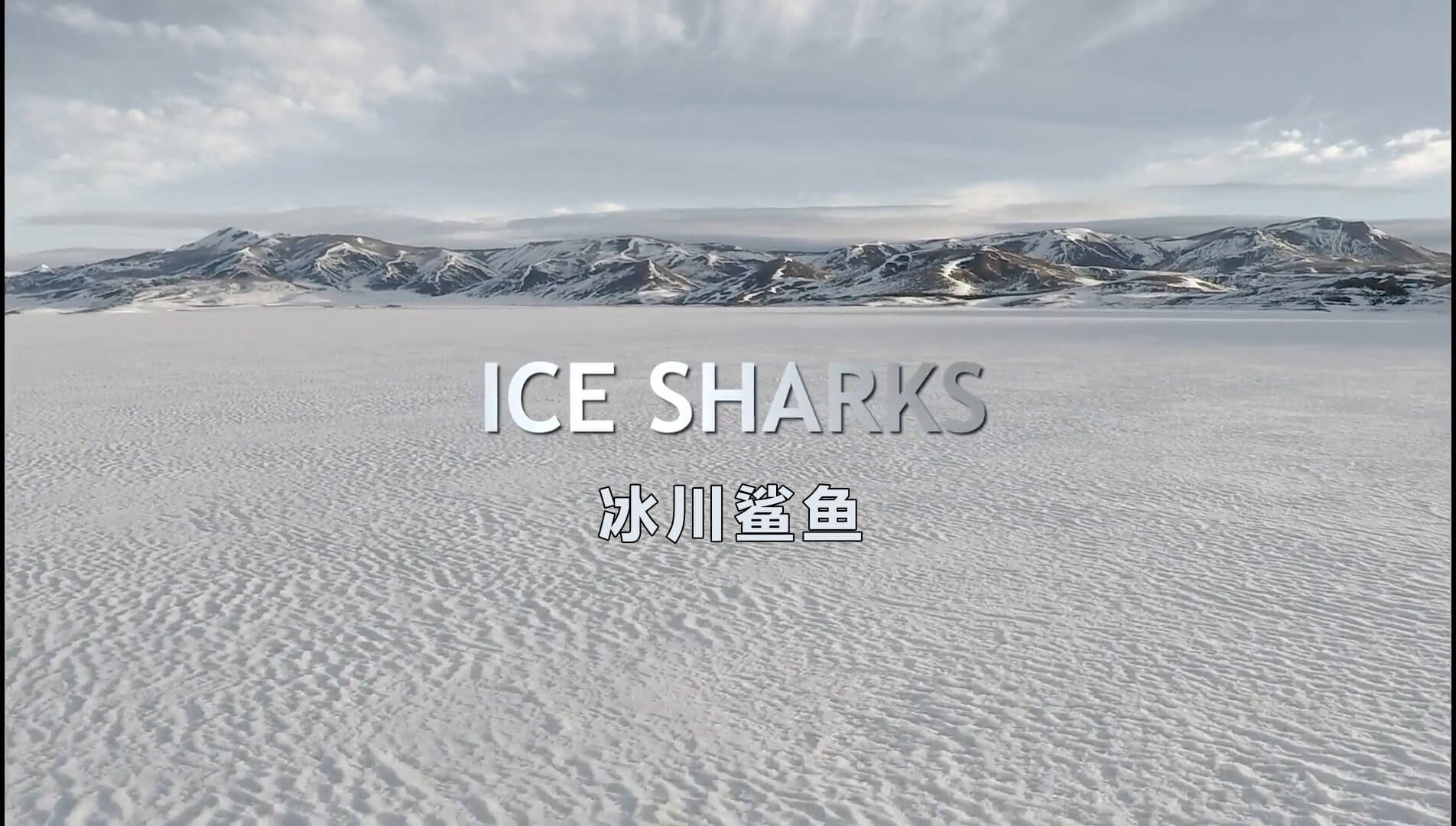 Ice.Sharks.2016.1080p.BluRay.H264.AAC-RARBG_0001.jpg