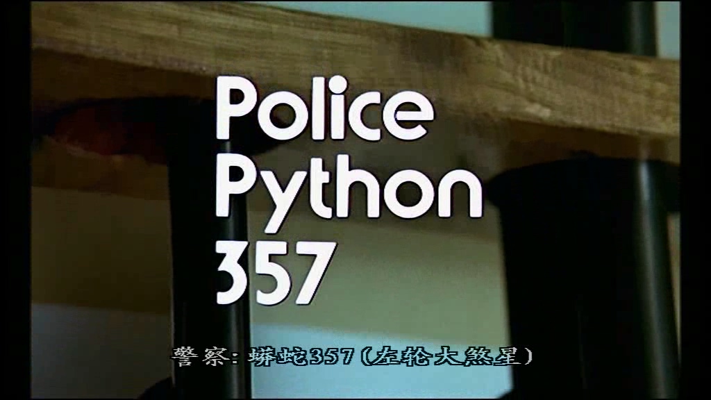 左轮357.POLICEPYTHON.mp4_20250106_200739.874.jpg