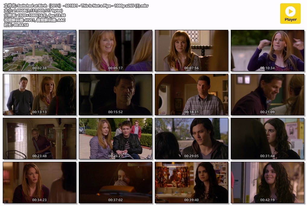 Switched at Birth（2011）- S01E01 - This Is Not a Pipe - 1080p x265 (1).mkv.jpg