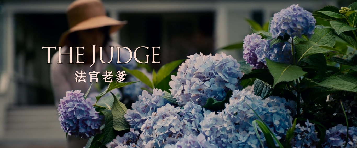 The.Judge.2014.1080p.10bit.BluRay.6CH.x265.HEVC-PSA.mkv_000117.650.jpg