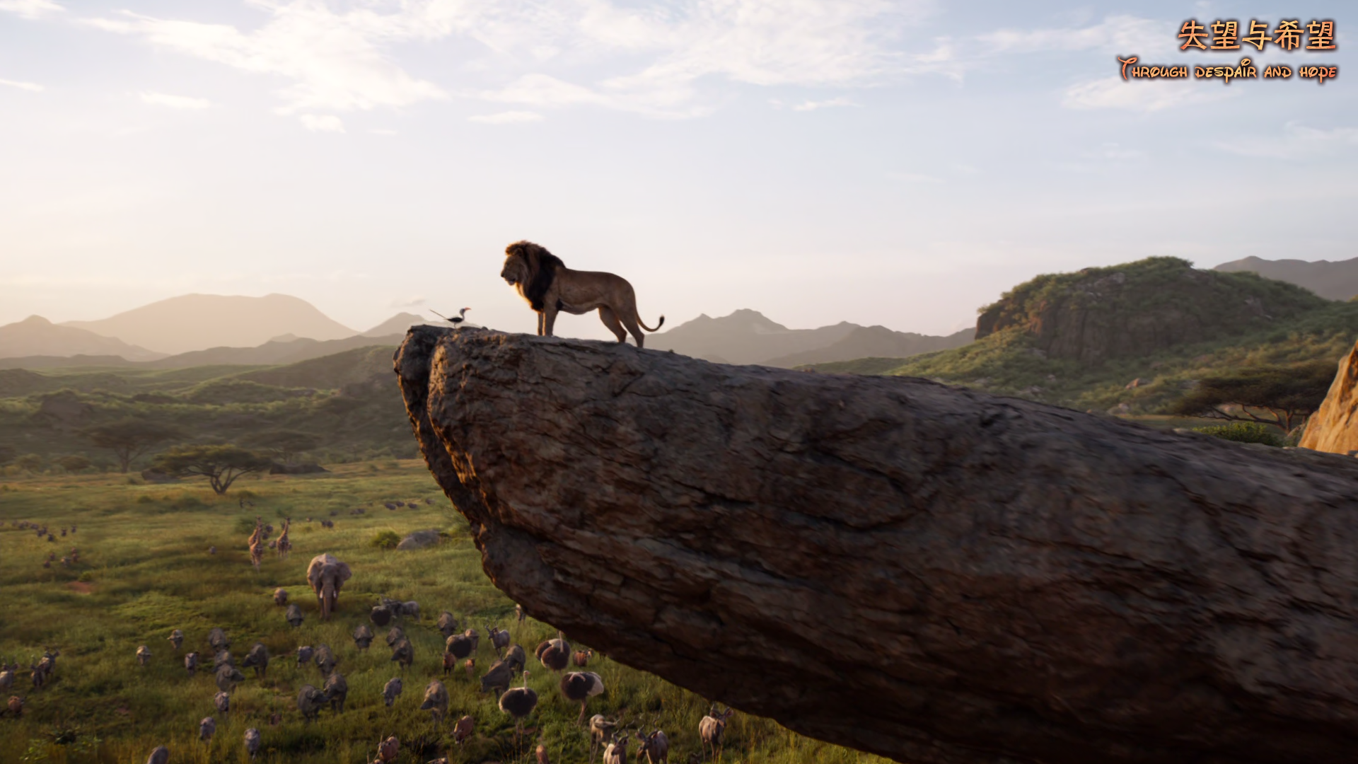 狮子王.Lion.King.2019.BD1080P.x265.AAC.English&Mandarin&Taiwanese.CHS-ENG_001_38.png