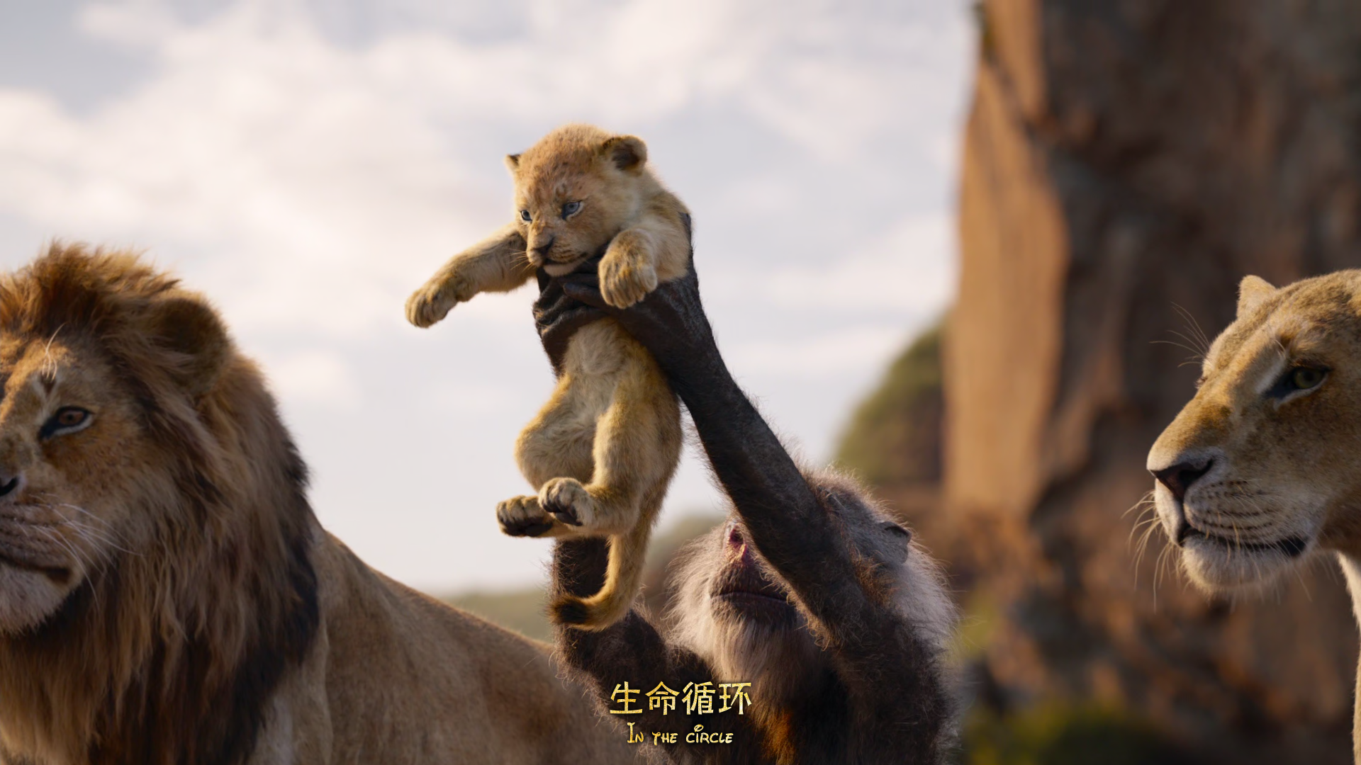 狮子王.Lion.King.2019.BD1080P.x265.AAC.English&Mandarin&Taiwanese.CHS-ENG_001_15.png