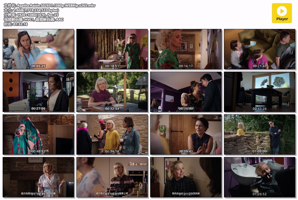 Agatha.Raisin.S02E01.1080p.WEBRip.x265.mkv.jpg