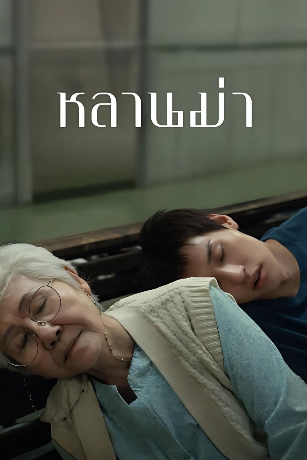 姥姥的外孙-How.to.Make.Millions.Before.Grandma.Dies-2024-Poster-1000x1500.jpg