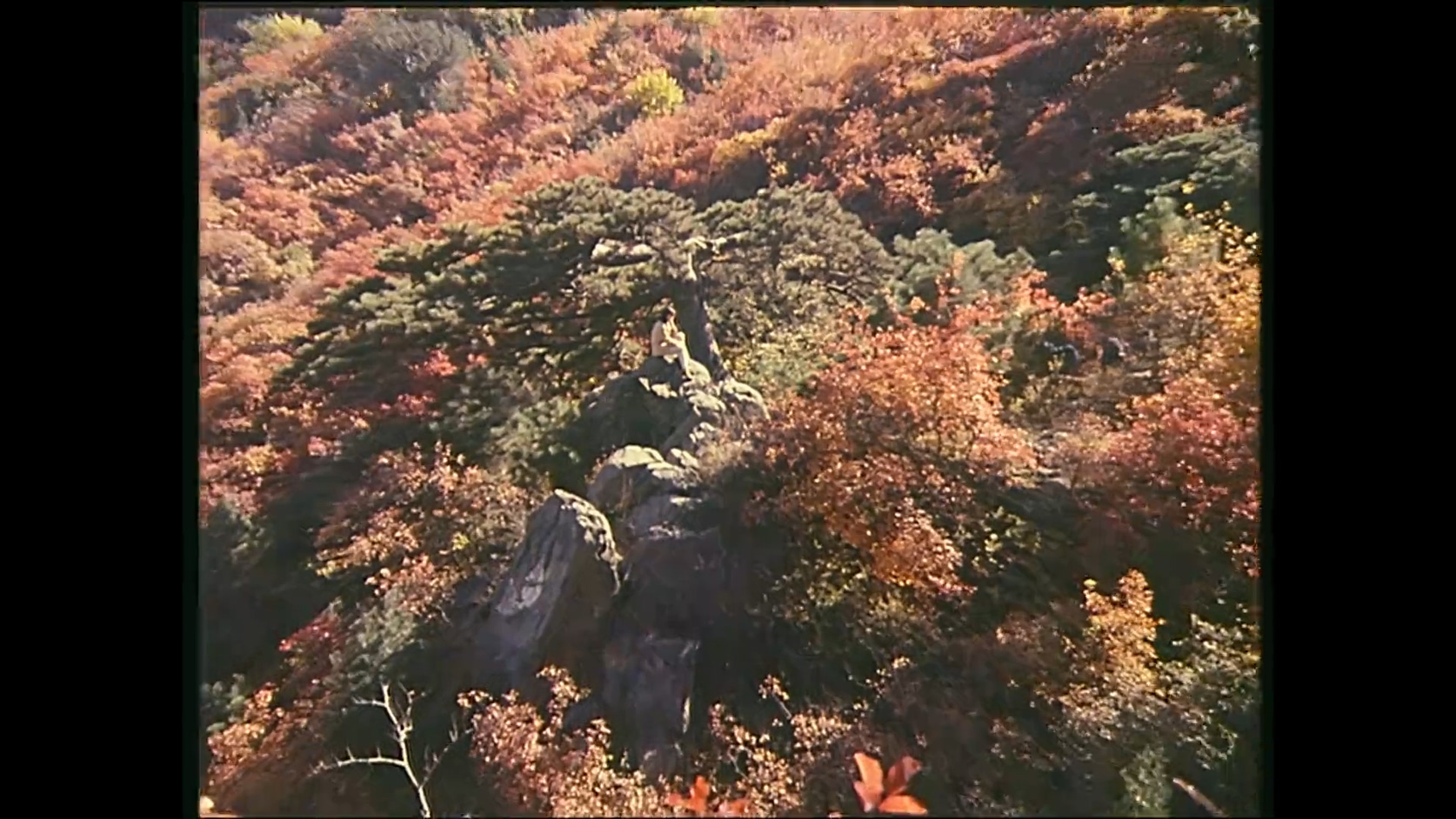 不是为了爱情.mkv_20250206_105015.827.jpg