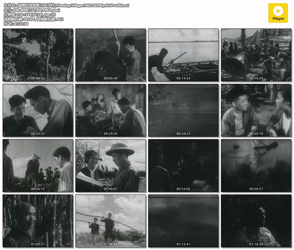 [越南经典电影之二浮村].Floating.Village.1965.DVDRip.XviD-tslhh.avi.jpg