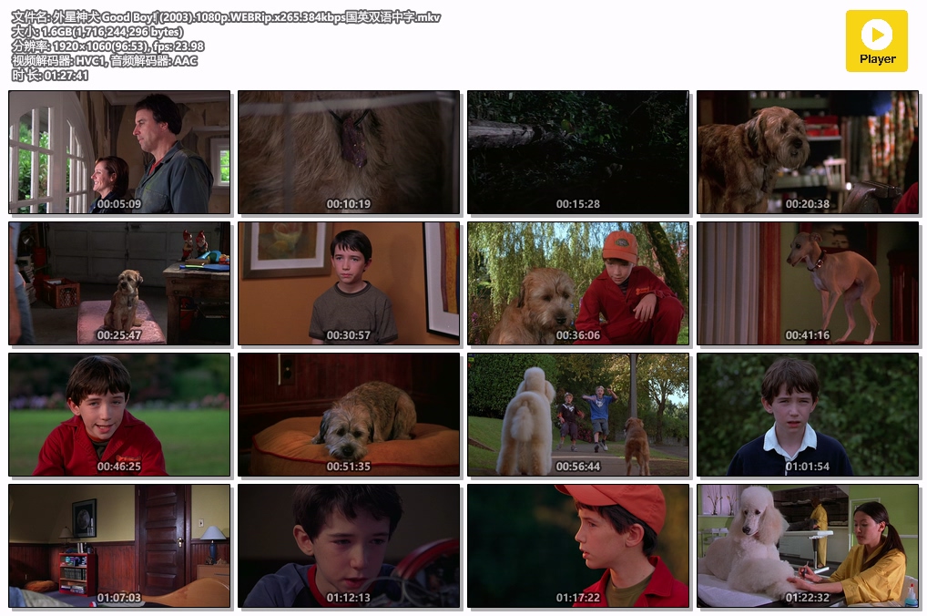 外星神犬 Good Boy!‎ (2003).1080p.WEBRip.x265.384kbps国英双语中字.mkv.jpg