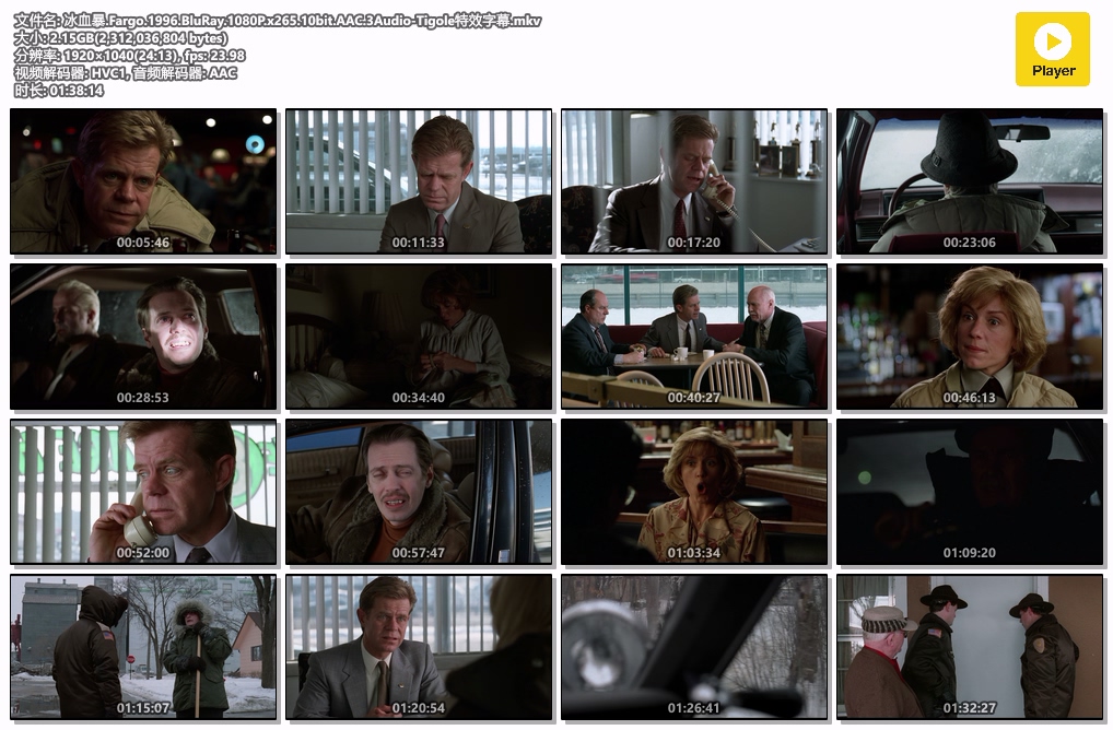 冰血暴.Fargo.1996.BluRay.1080P.x265.10bit.AAC.3Audio-Tigole特效字幕.mkv.jpg