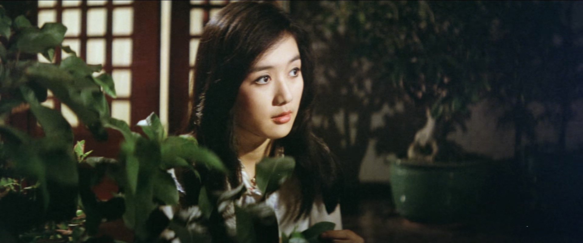 梦的衣裳.My.Cape.of.Many.Dreams.1981.1080p.WEB-DL.H265.AAC-DreamHD.mp4_20250428_.jpg
