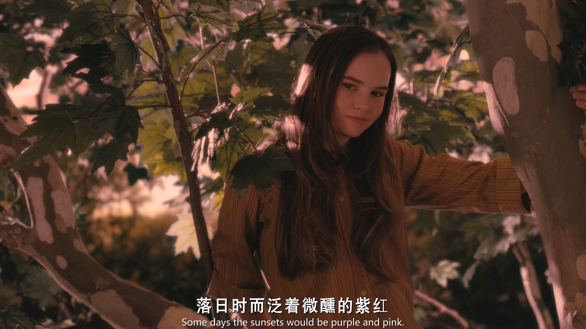 怦然心动.国英三语.内嵌特效中英字幕.Flipped.2010.BD1080P.X264.DTS-HD.MA.5.1.3Audi.jpg