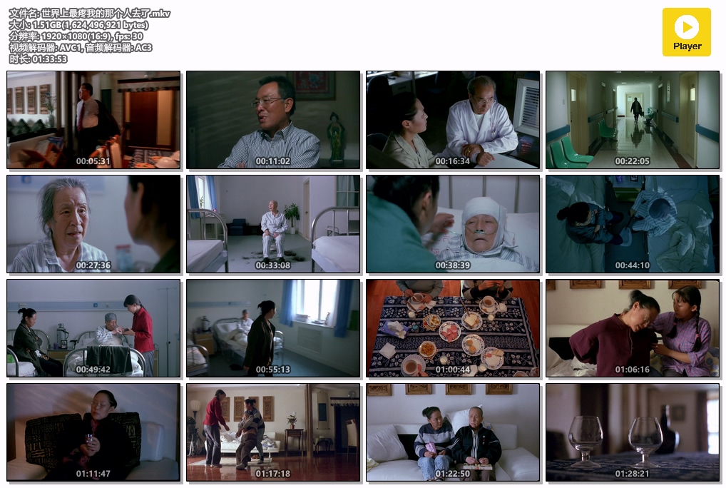 世界上最疼我的那个人去了.mkv.jpg