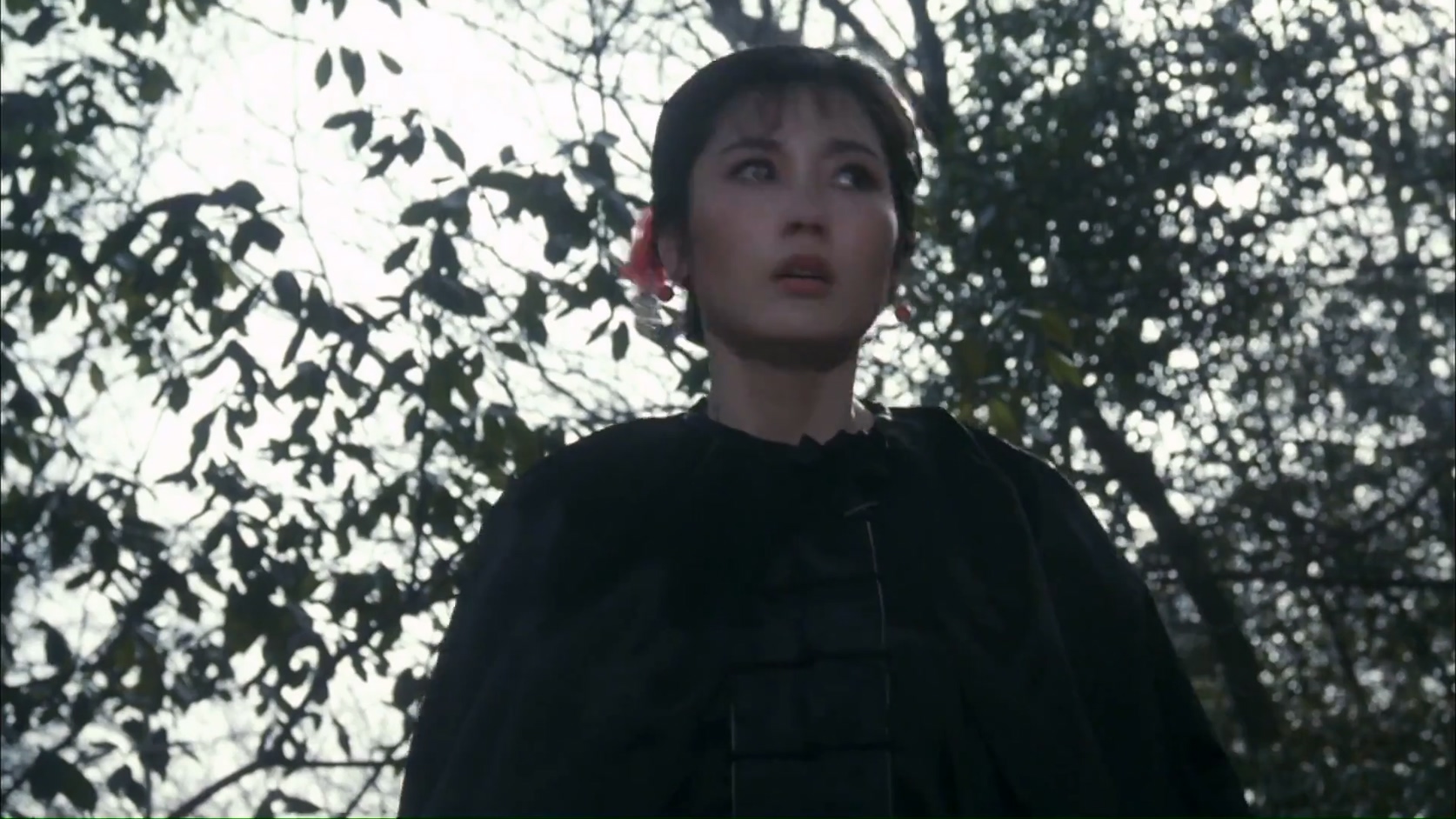 双枪假面人.mkv_20250509_114043.732.jpg