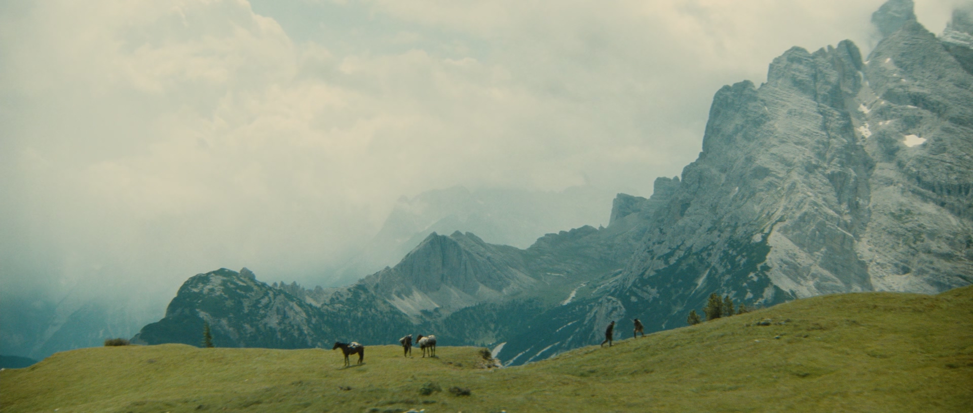 The.Bear.1988.1080p.BluRay.x265.10bit.DTS-QuickIO.mkv_20250511_115447.771.jpg