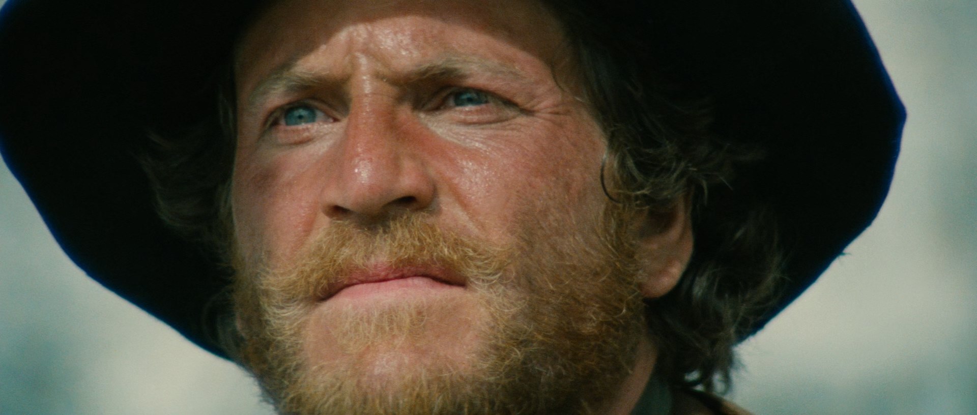 The.Bear.1988.1080p.BluRay.x265.10bit.DTS-QuickIO.mkv_20250511_115712.821.jpg