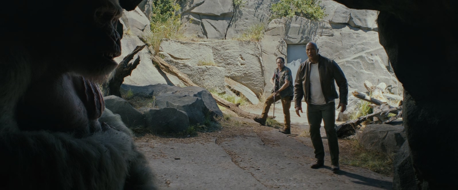 狂暴巨兽.Rampage.2018.BluRay.1080p.x265.10bit.HEVC.AAC(5.1).2Audios特效字幕.mkv_.jpg