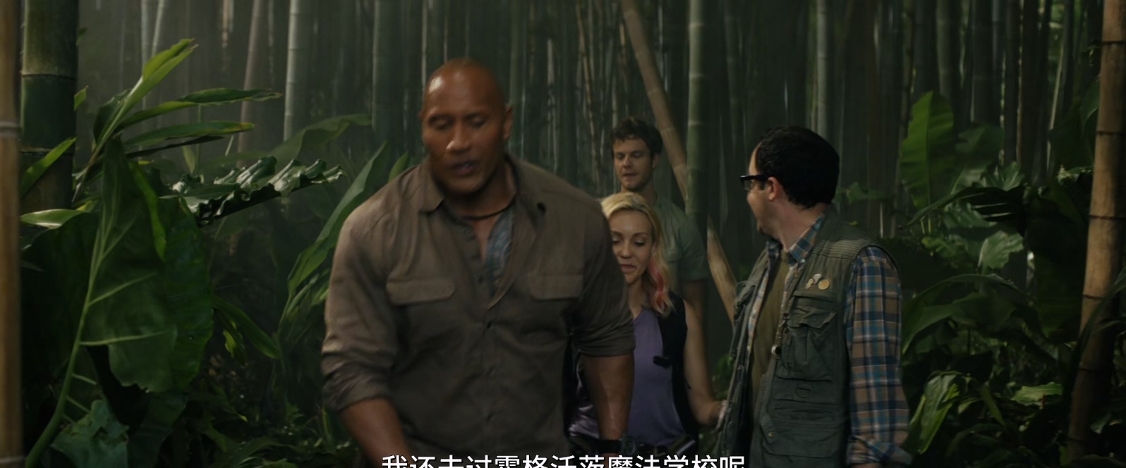 狂暴巨兽.Rampage.2018.BluRay.1080p.x265.10bit.HEVC.AAC(5.1).2Audios特效字幕.mkv_.jpg