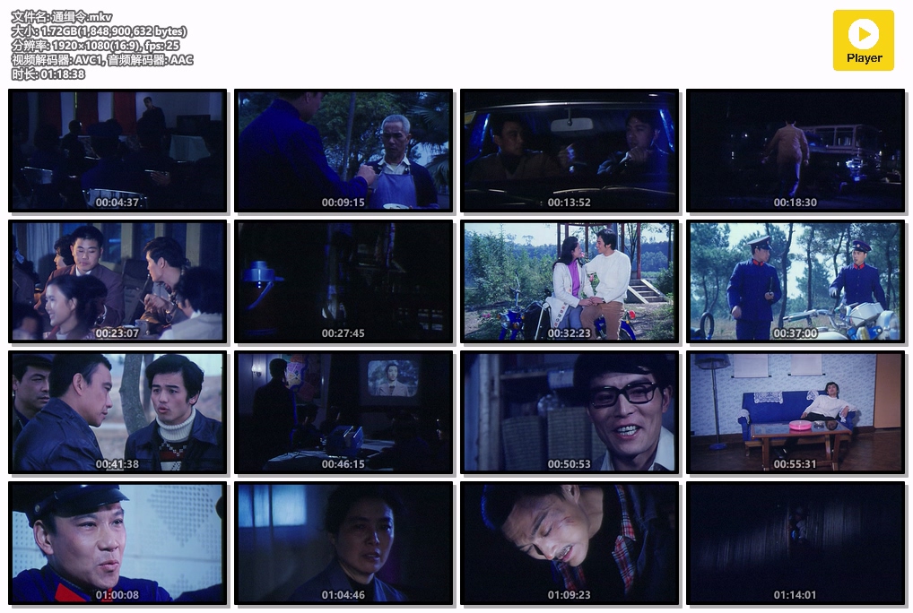 通缉令.mkv.jpg