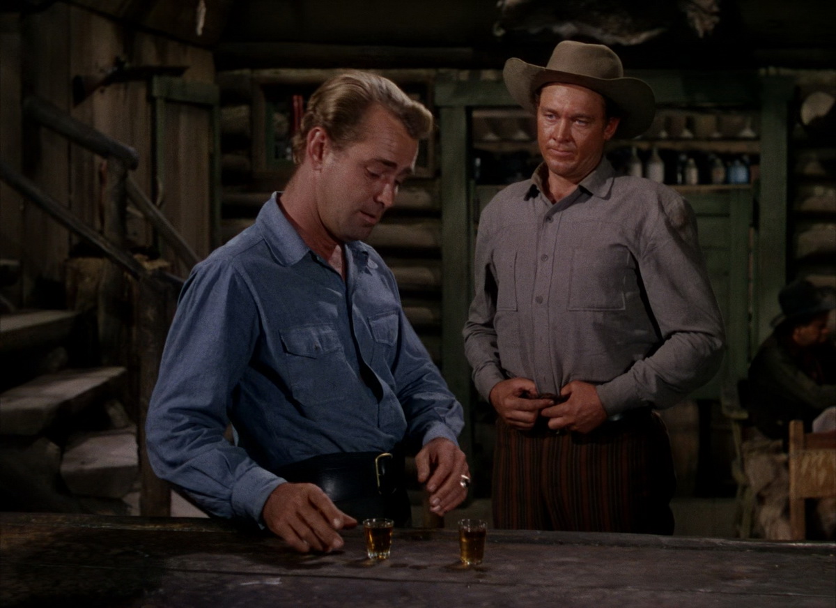 原野奇侠.Shane.1953.BluRay.1080p.HEVC.10bit-MOMOHD.mkv_20250517_160437.069.jpg