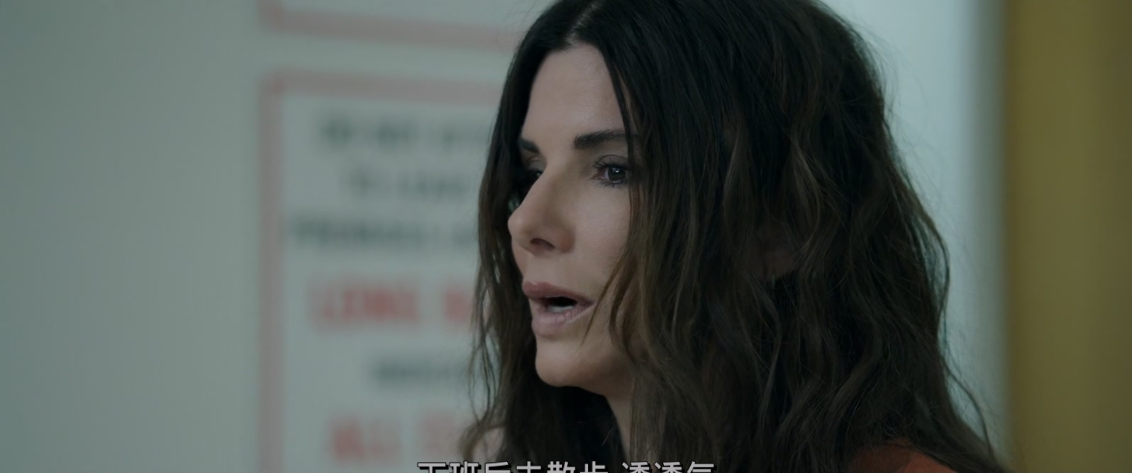 瞒天过海：美人计.Ocean's.Eight.2018.BluRay.1080p.x265.10bit.2Audio.AAC(5.1).jpg