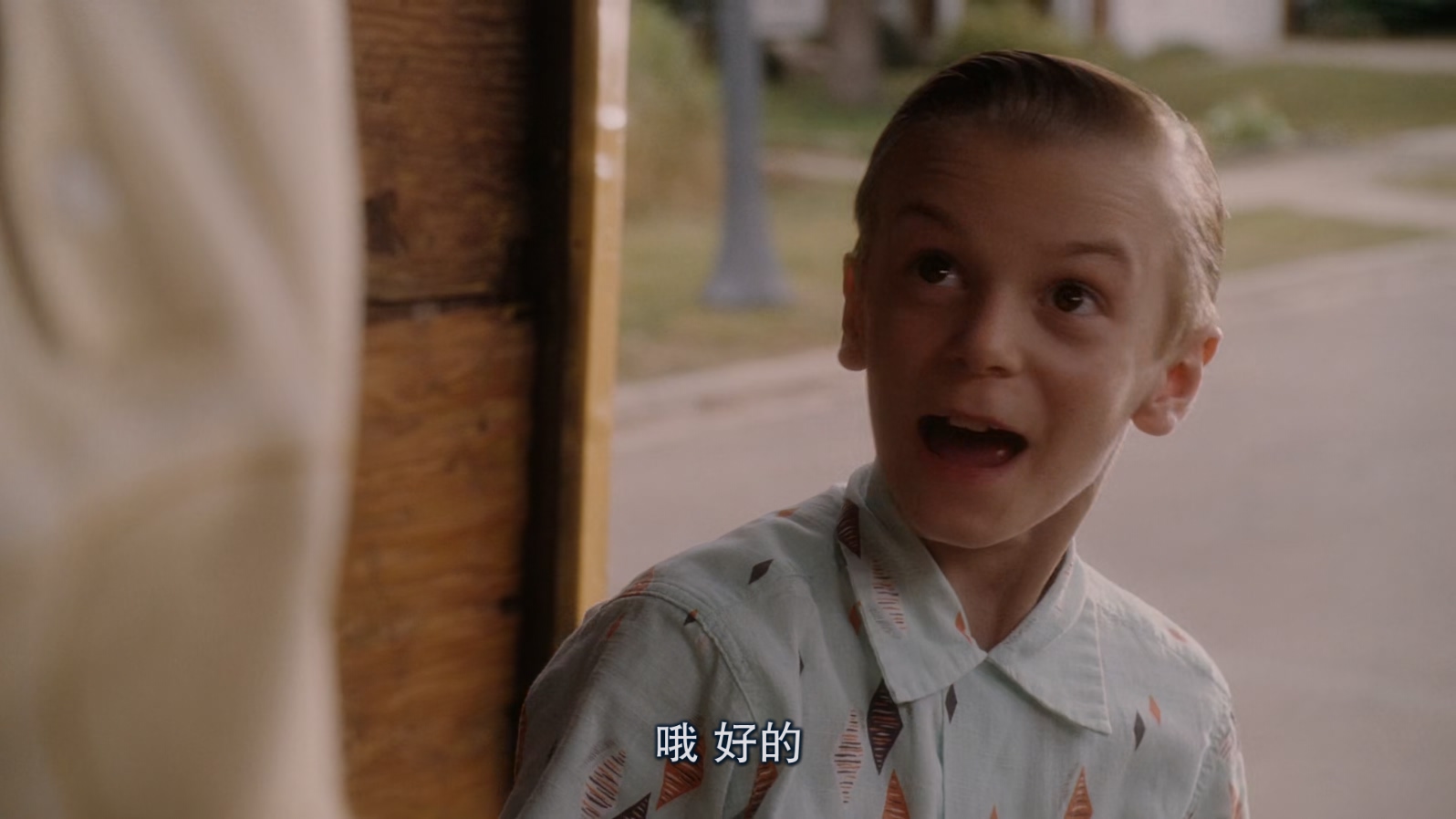 怦然心动.Flipped.2010.1080p.BluRay.x265.2audio-RARBG特效字幕.mkv_20250527_100603.919.jpg