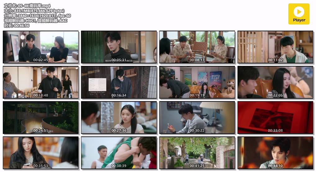 陷入我们的热恋.05-4K.高码率.mp4.jpg