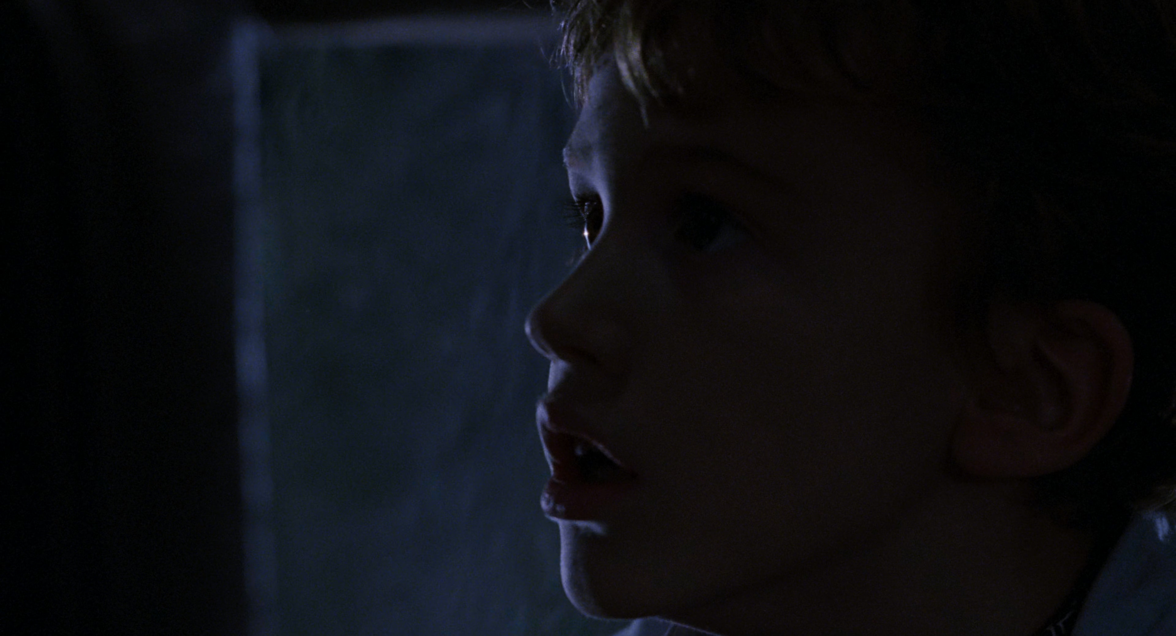 Jurassic.Park.1993.BluRay.2160p.x265.10bit.HDR.4Audio.mUHD-FRDS.mkv_20250606_085.jpg