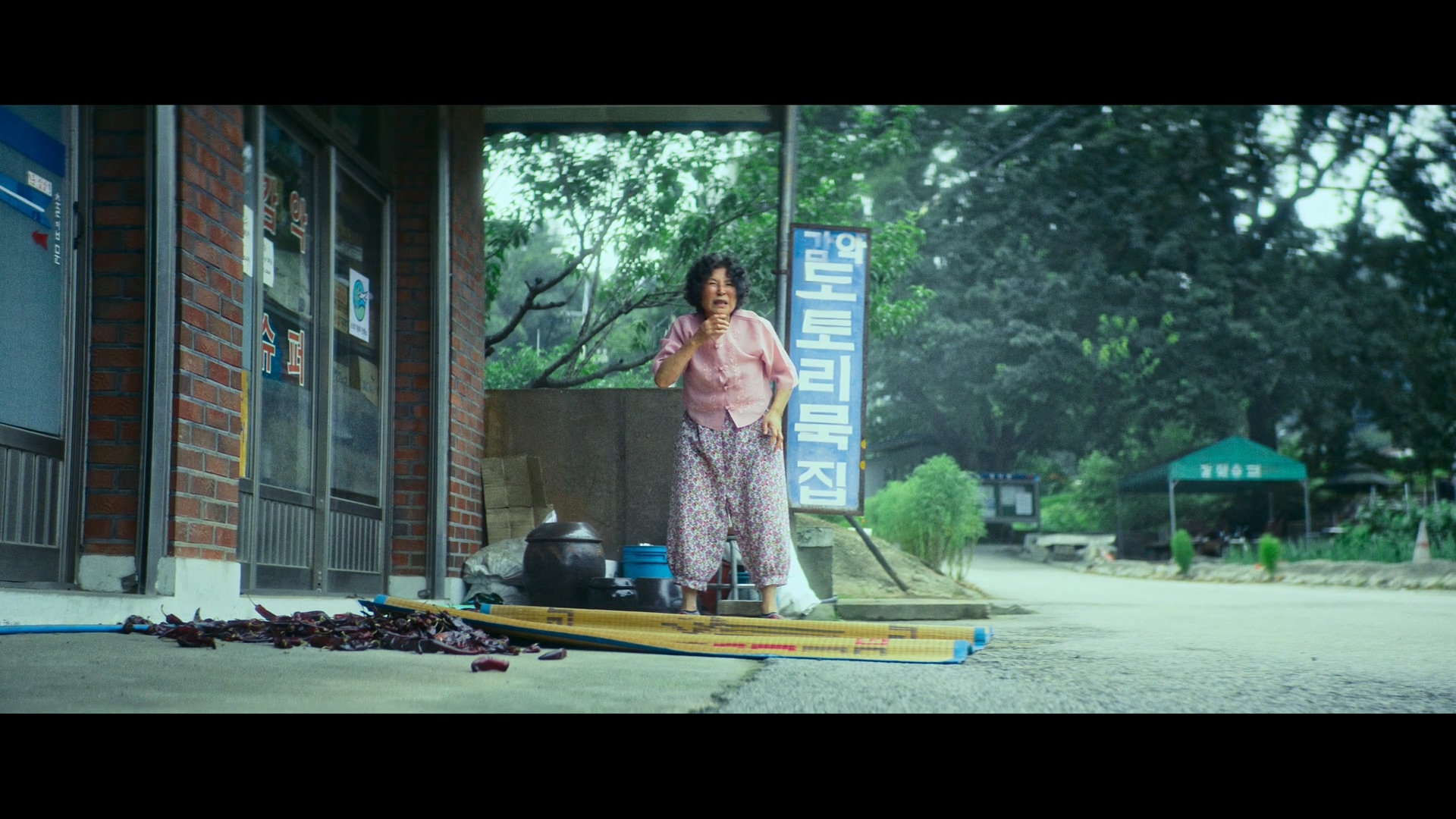 Ballerina.2023.1080P.NF.WEB-DL-TREX.mkv_20250610_224226.320.jpg