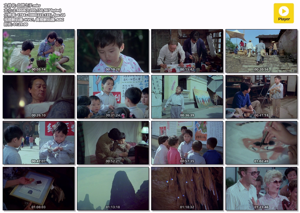 自然之子.mkv.jpg