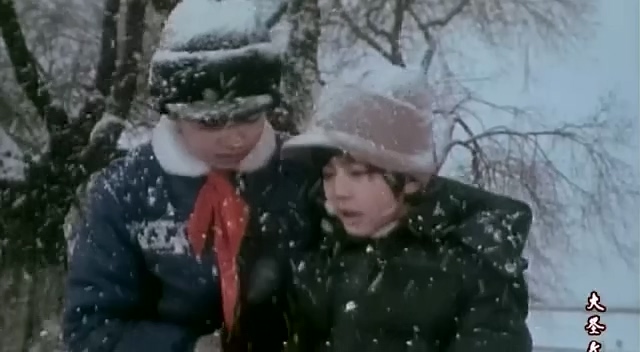 明姑娘.Bright-Eyes.1984.DVD.X264.AAC.HALFCD(0：-)-.mkv_20250613_195713.531.jpg