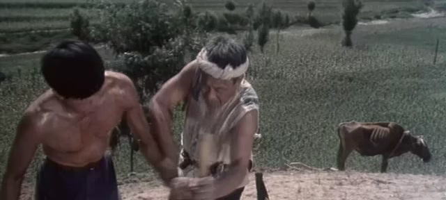 人生.Life.1984.DVD.X264.AAC.HALFCD(0：-)-.mkv_20250613_202724.994.jpg