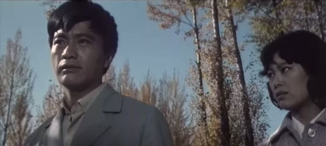 人生.Life.1984.DVD.X264.AAC.HALFCD(0：-)-.mkv_20250613_202749.831.jpg