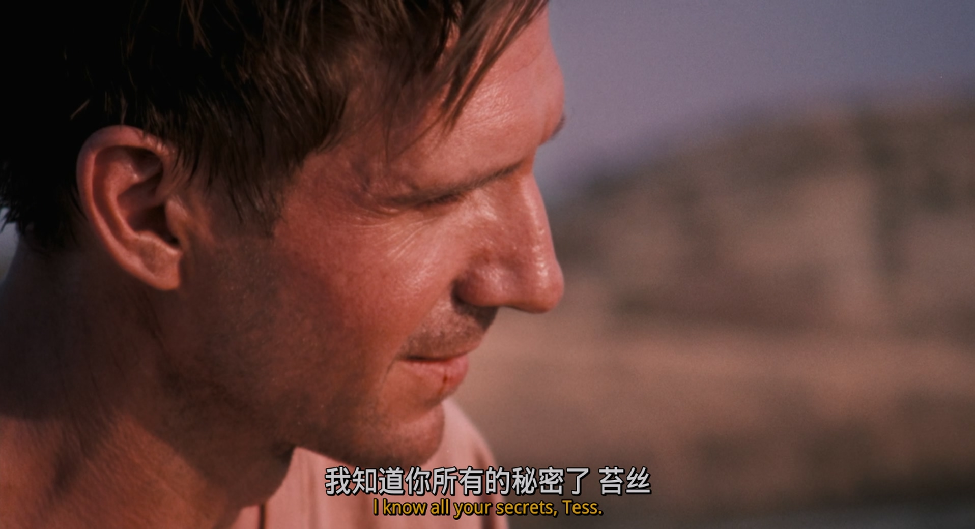 不朽的园丁[简繁英字幕].The.Constant.Gardener.2005.1080p.BluRay.x265.10bit.DTS-Qu.jpg
