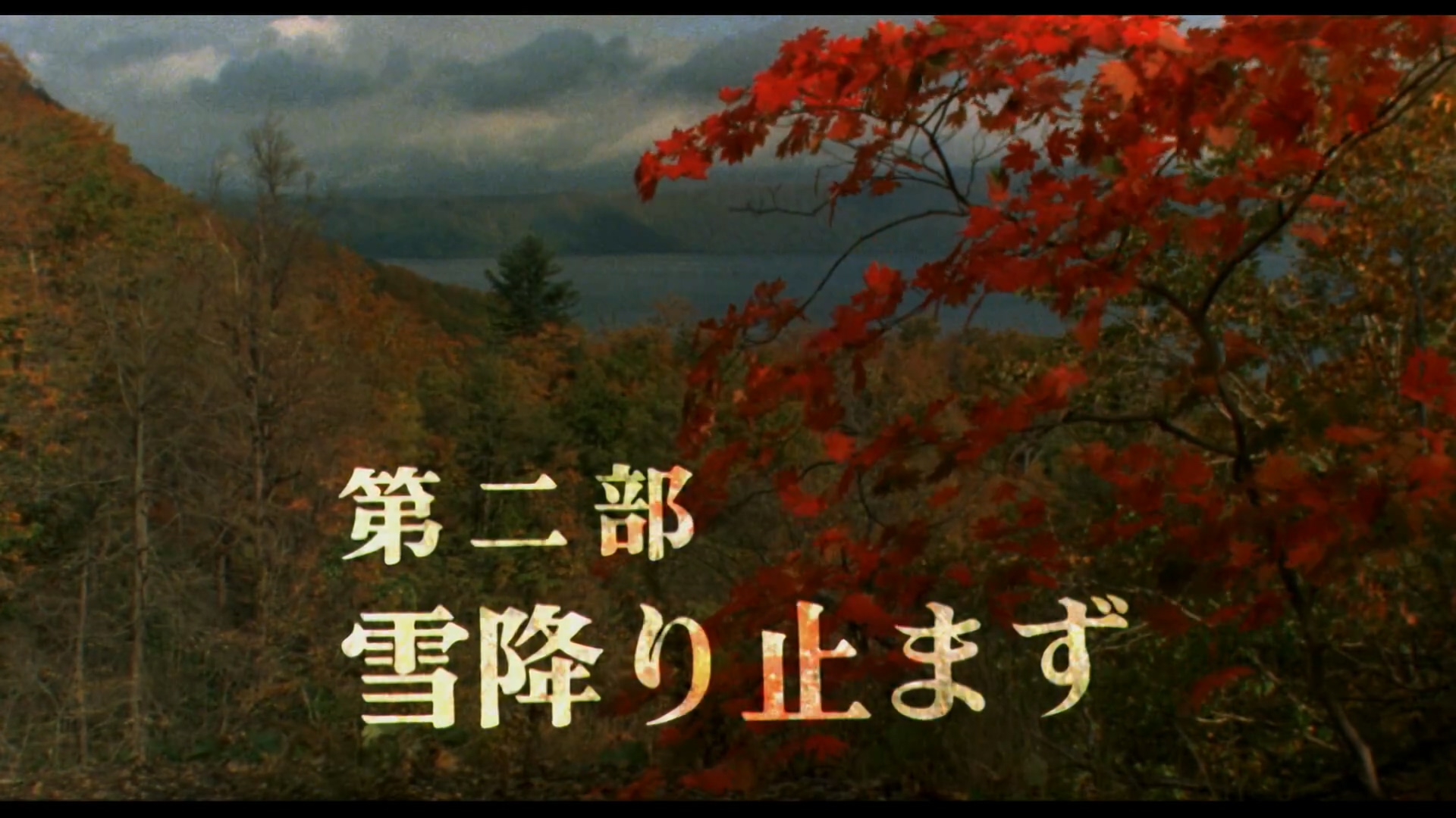 d乱.1980.BD1080p.中文字幕.mp4_20250617_090921.750.jpg