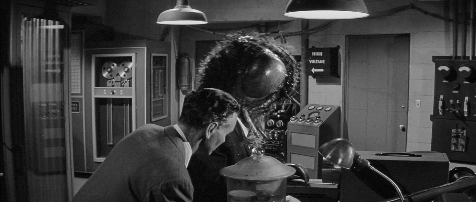 变蝇人老版2.Return.of.the.Fly.1959.CN.mkv_20250629_203442.718.jpg