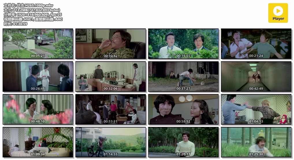 伏击.H265.1080p.mkv.jpg