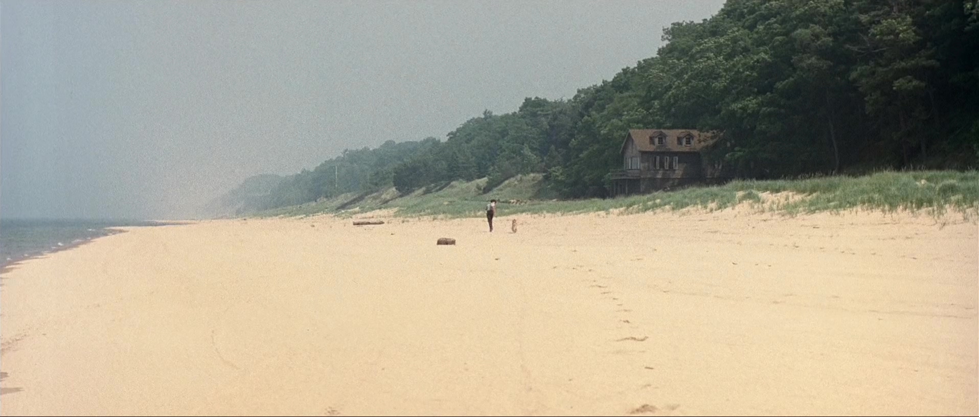 毁灭之路.Road.to.Predition.2002.CN.mkv_20250705_215153.748.jpg