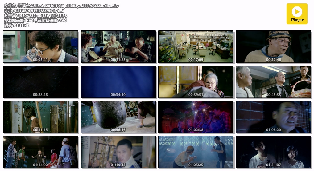 打擂台.Gallants.2010.1080p.BluRay.x265.AAC.2audio.mkv.jpg