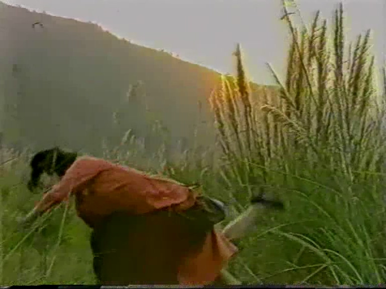 游侠夜闯虹云观.mpg_20250707_215656.437.jpg