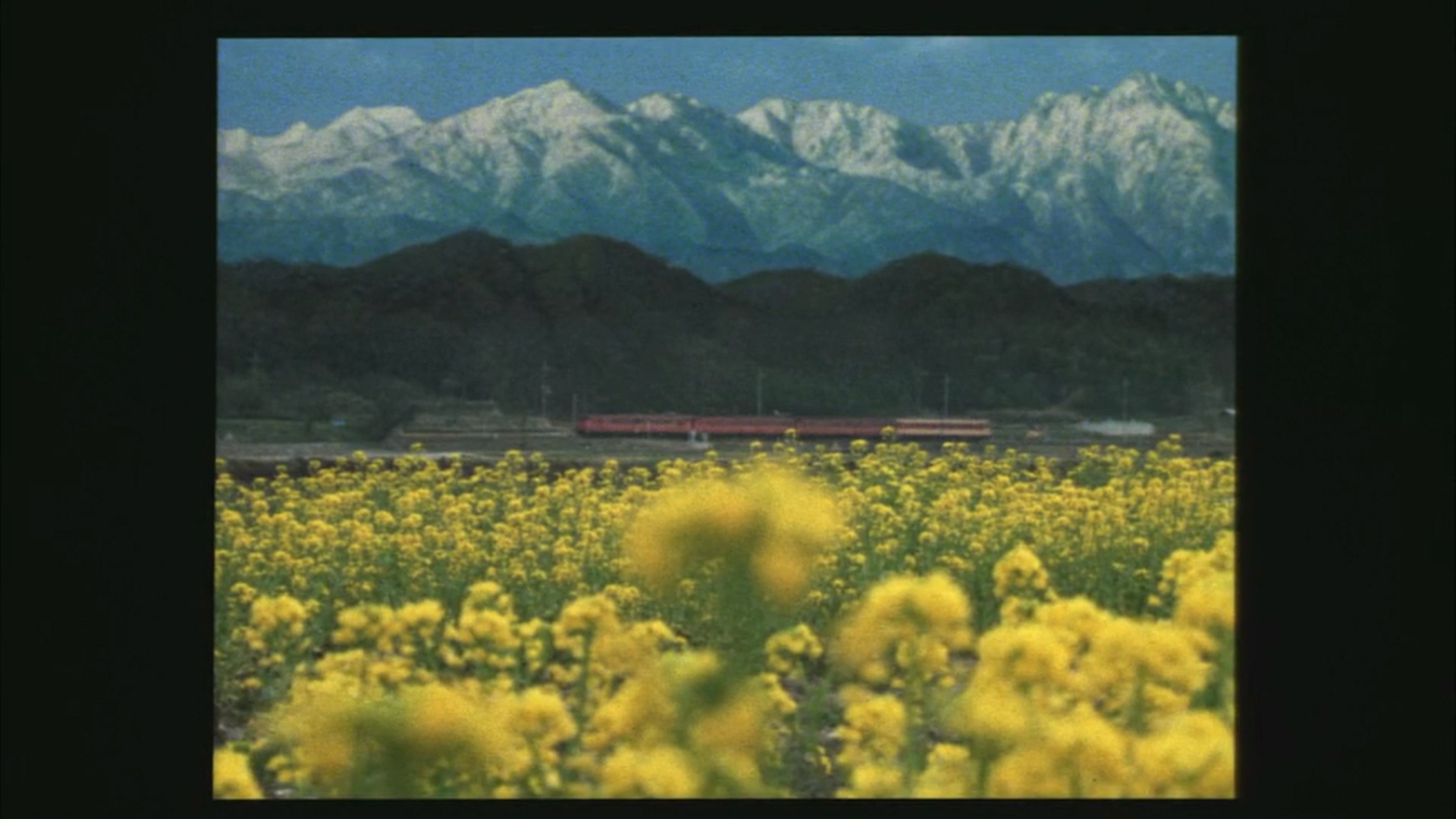 1983.穿越时空的少女(104分钟).486P.日语中字.mkv_20250711_010153.165.jpg